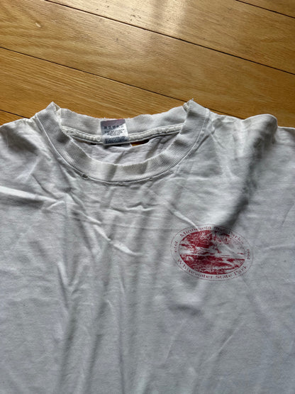 Vintage Minnesota State Parks Brook Tee. Size XL