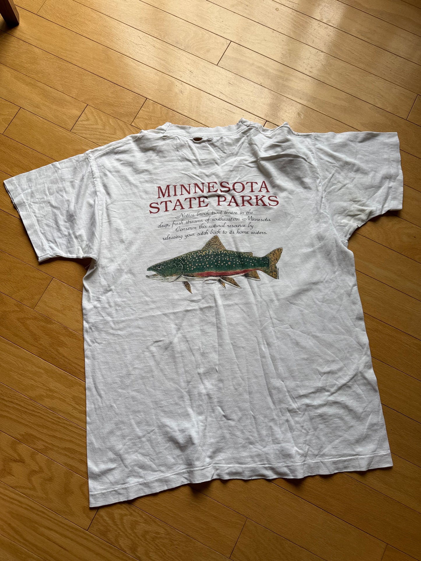 Vintage Minnesota State Parks Brook Tee. Size XL