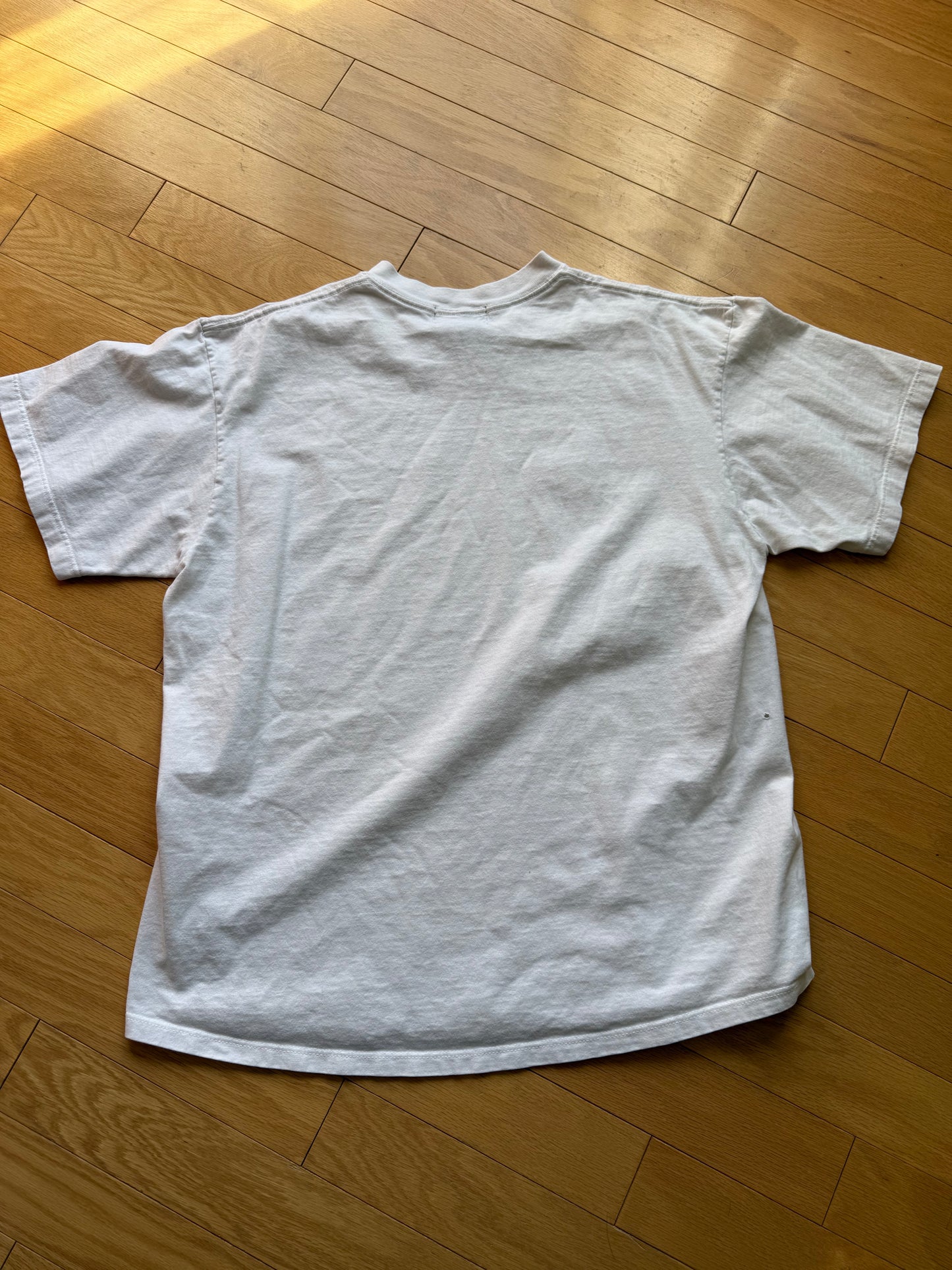 Vintage Eddie Bauer Joseph Tomelleri Golden Trout Tee