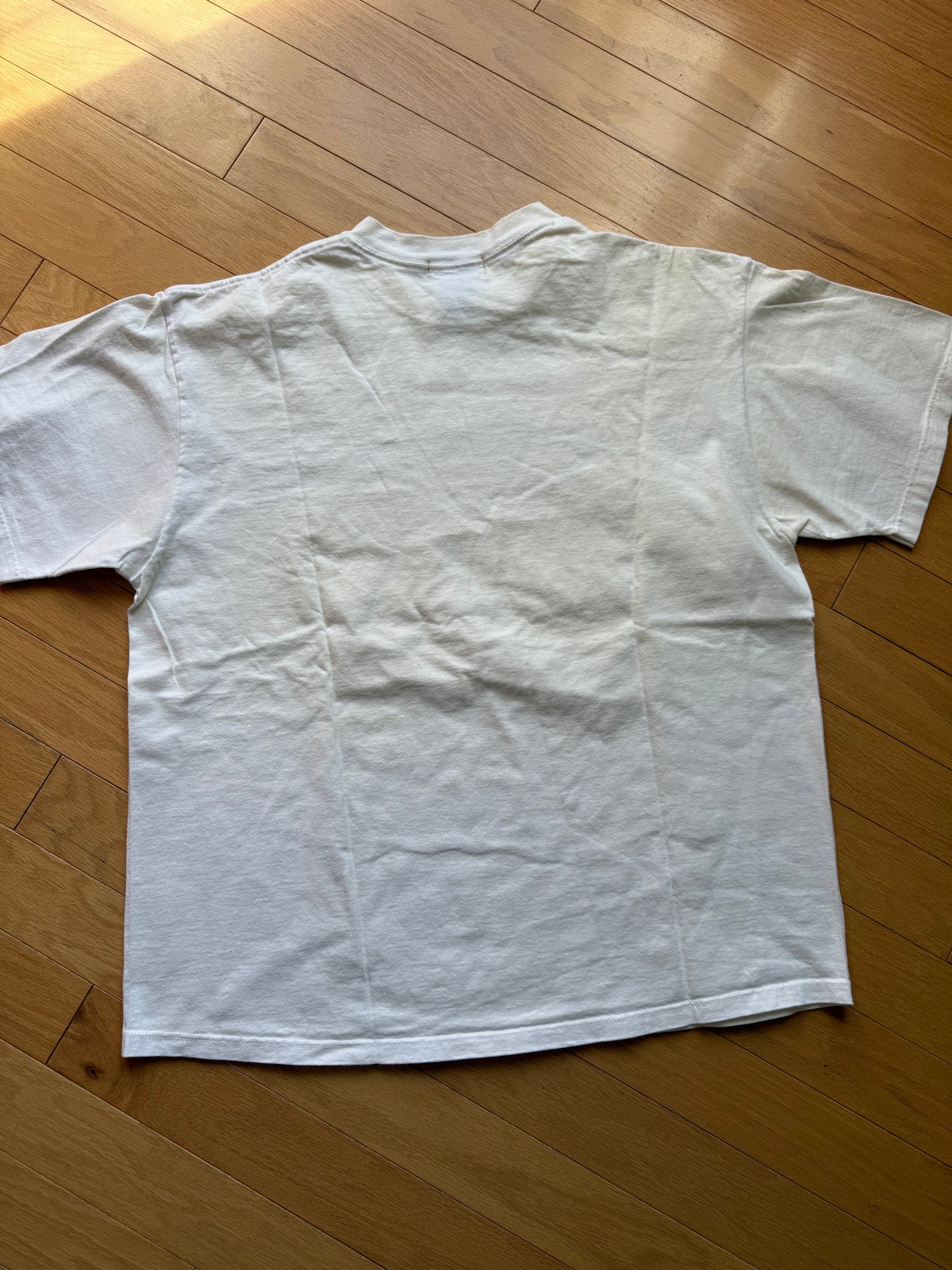 Vintage Eddie Bauer Joseph Tomelleri Golden Trout Tee