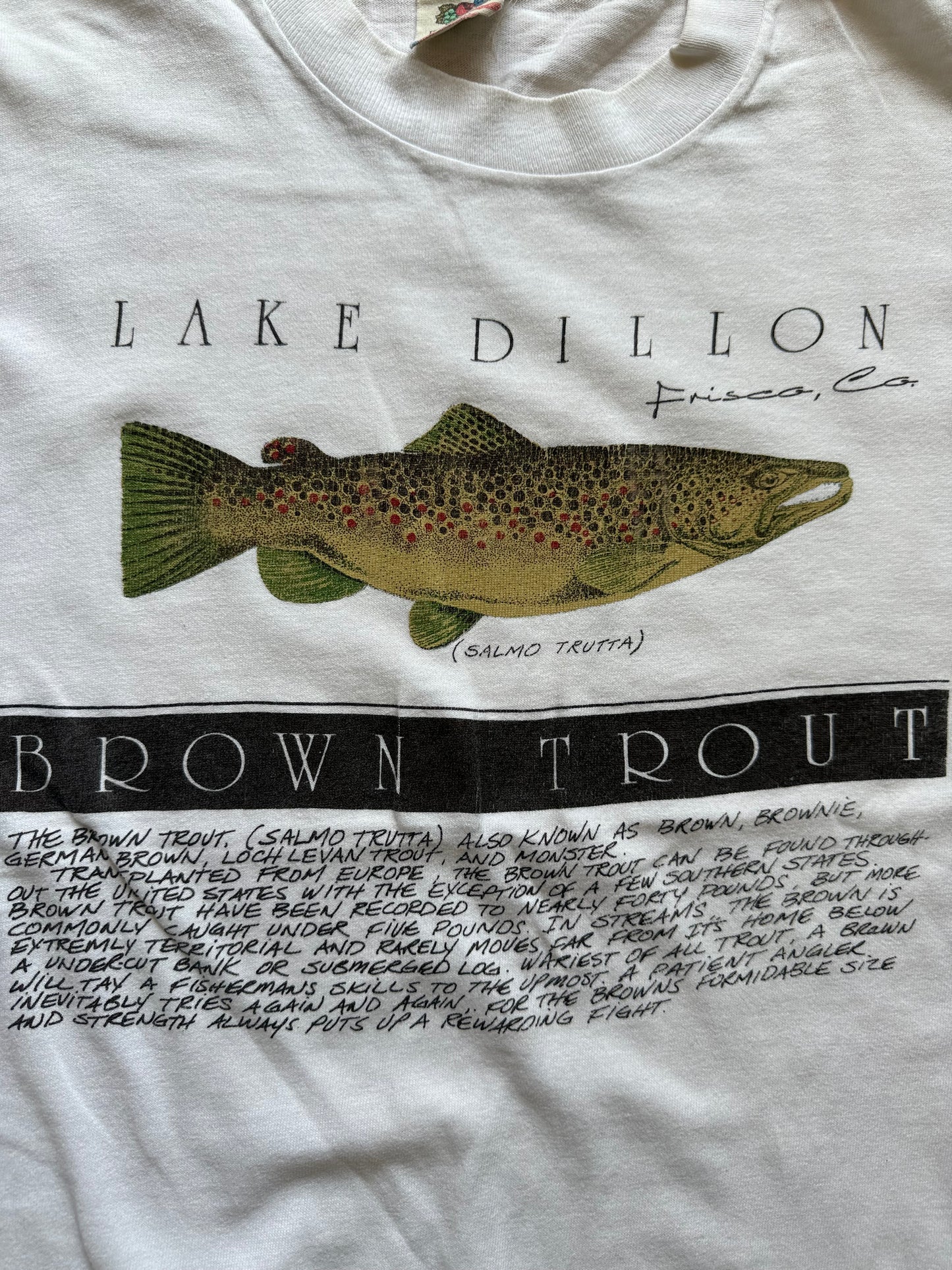 Vintage Lake Dillon Brown Trout Tee. Size S
