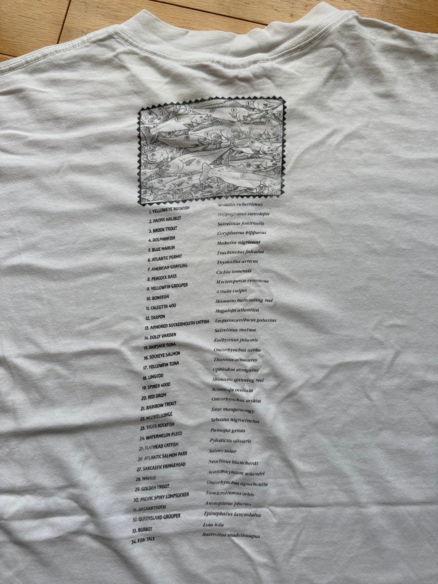 Vintage Ray Troll Fishscape Tee. Size XL