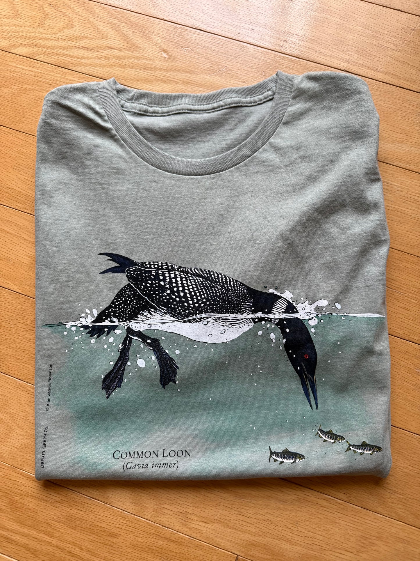 Vintage Alan James Robinson Loon Tee. Size S