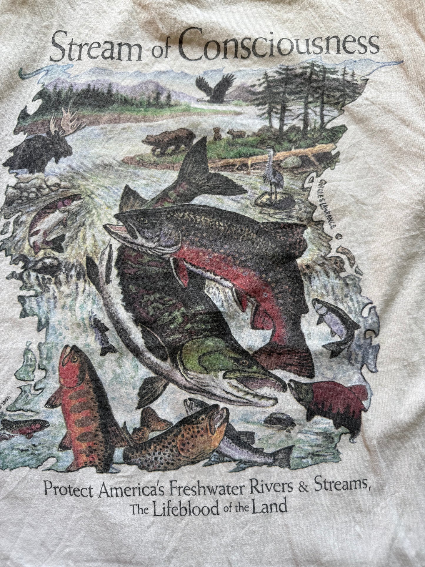 Vintage Stream of Consciousness Tee