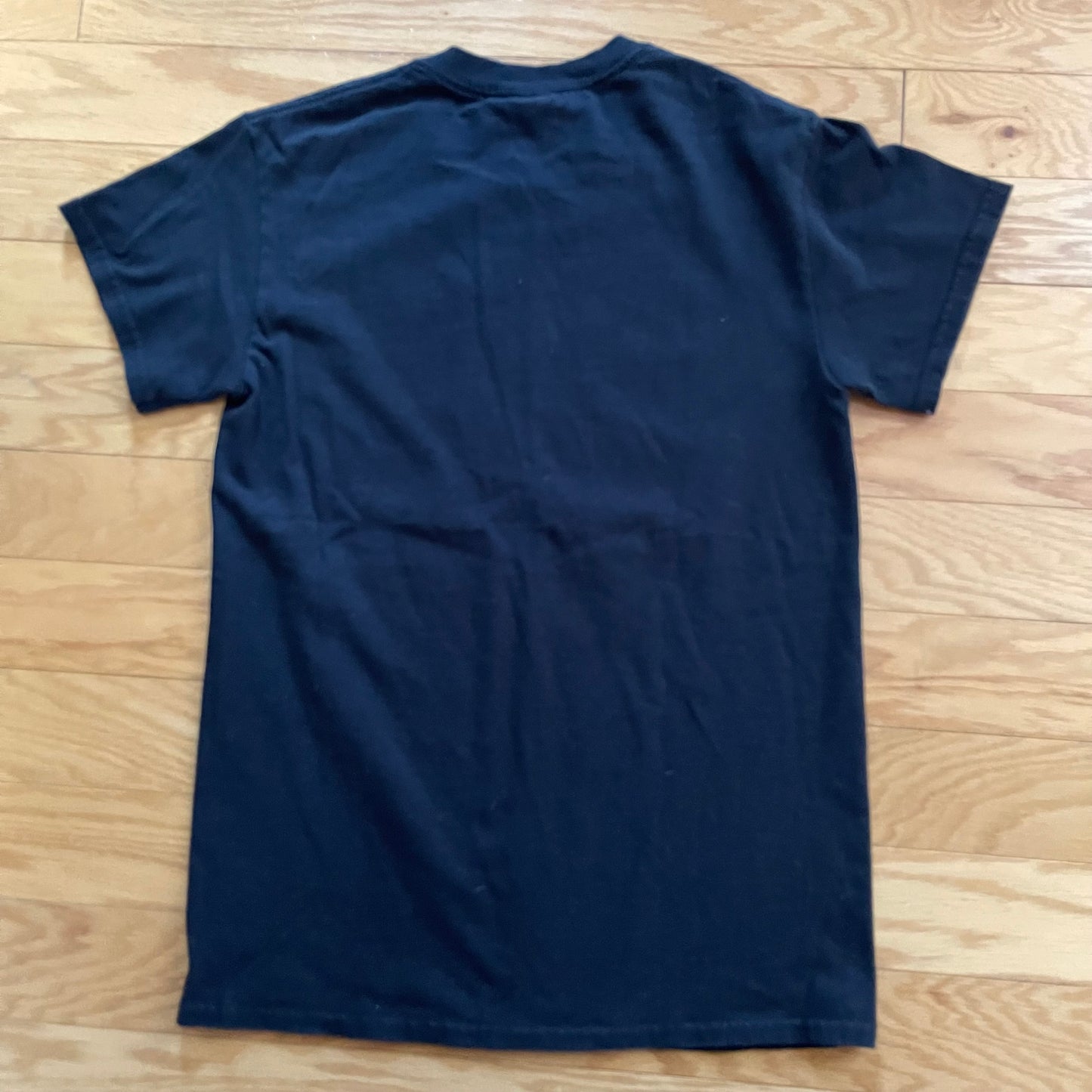 2013 Ray Troll Spawn of the Dead Tee