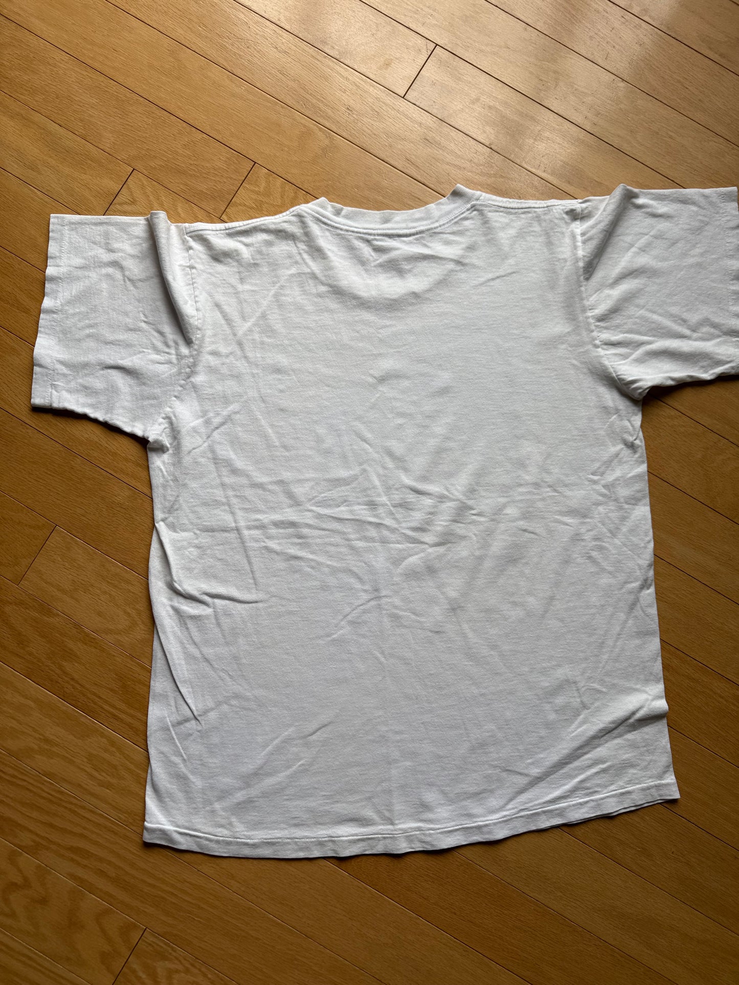 Vintage Ray Troll Cosmic Coho Salmonberry Wine Tee. Size L