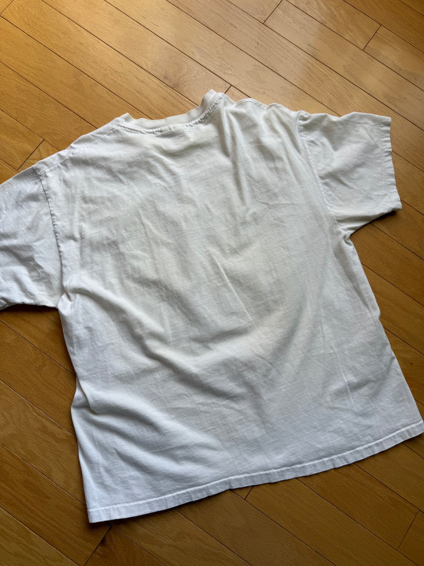 Vintage Snake River Wyoming Tee