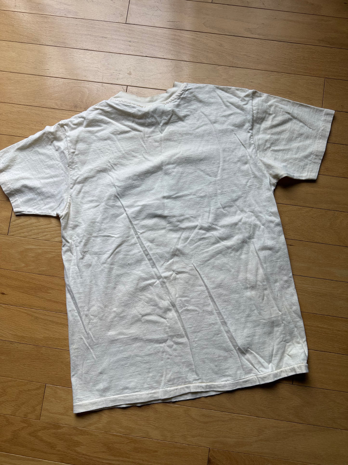 Vintage Lake Taneycomo Rainbow Trout Tee. Size L