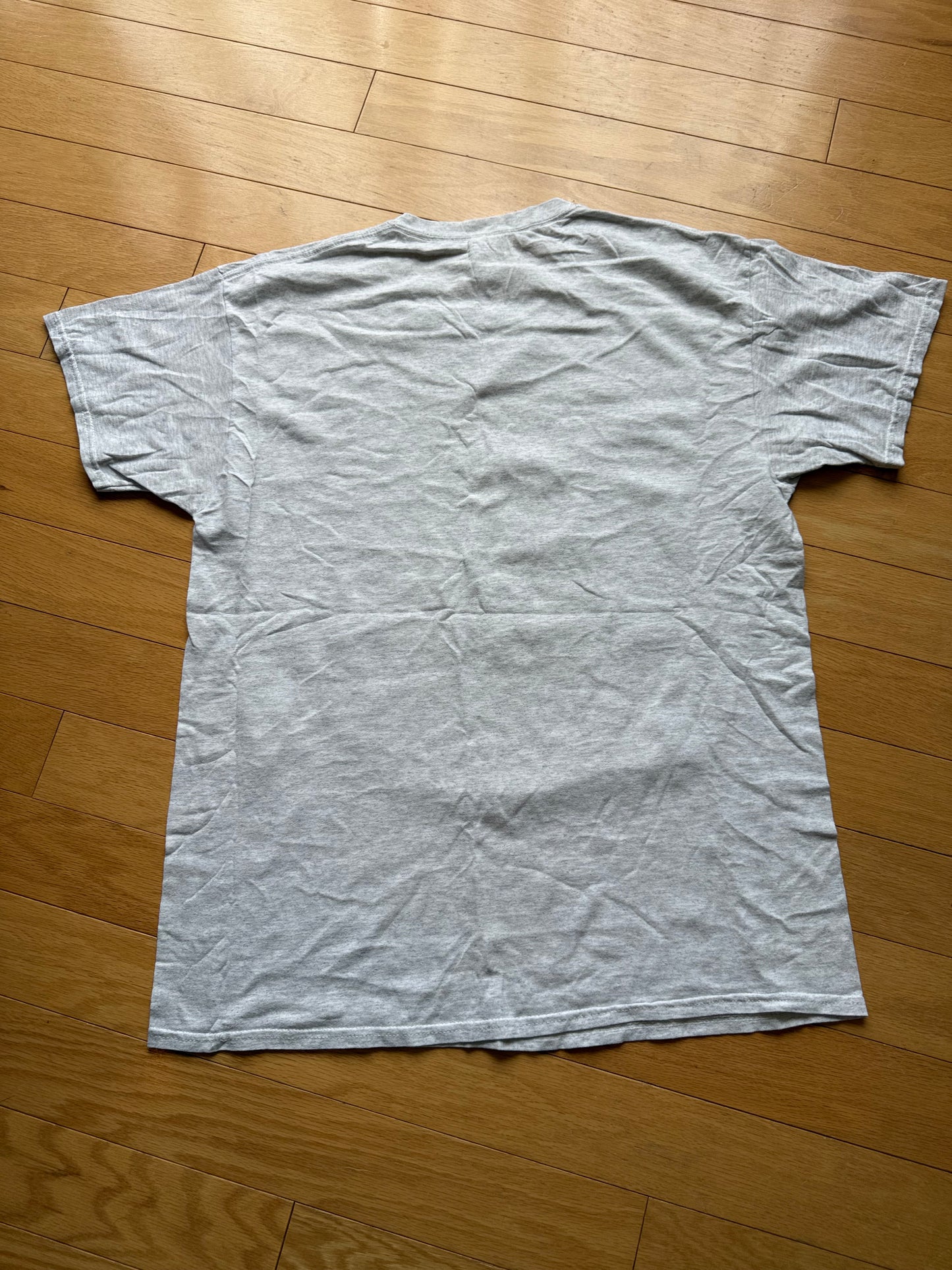 Vintage Ray Troll Perils of Nude Flyfishing Tee. Size L