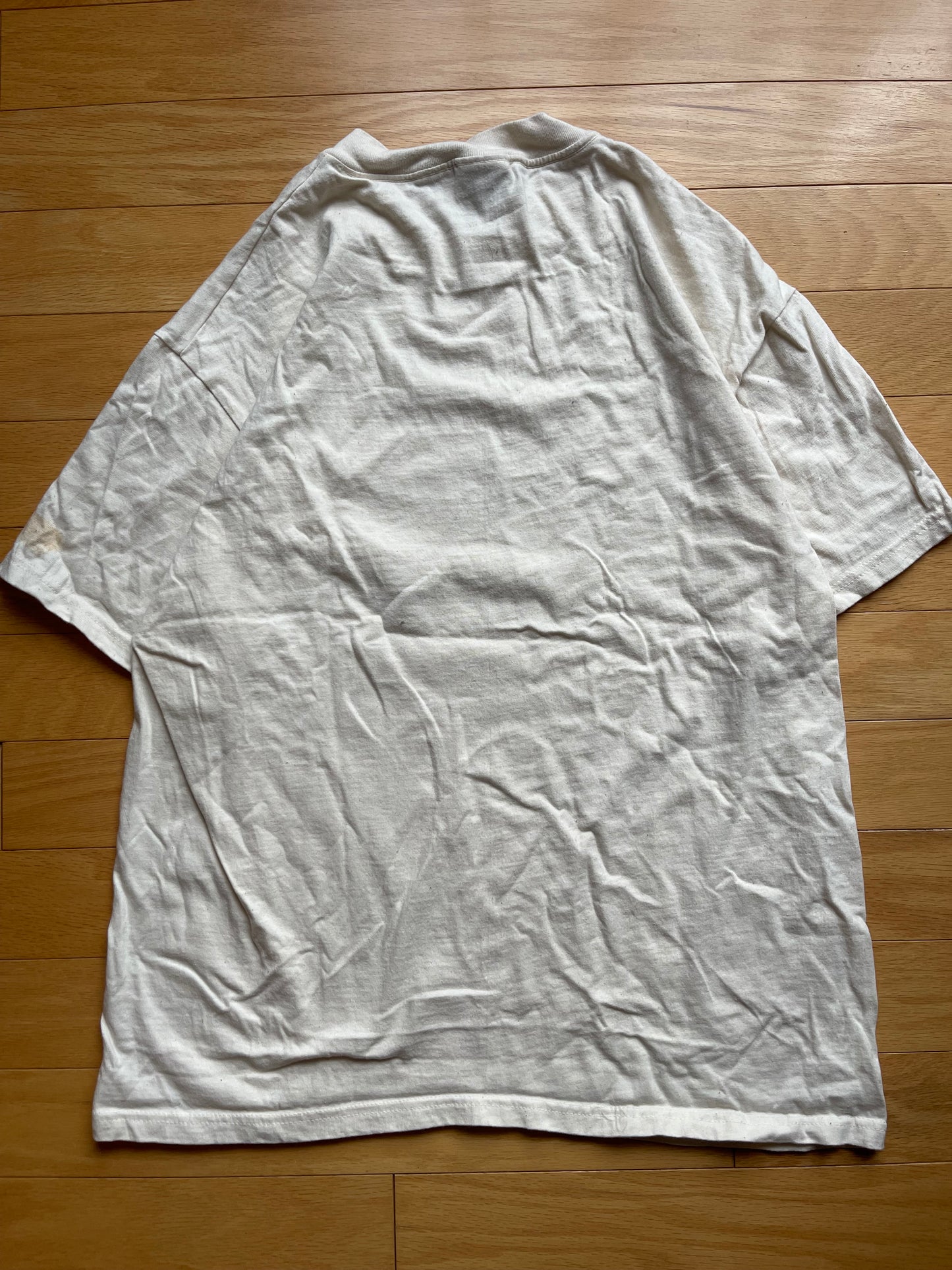 Vintage Liberty Graphics Alan James Robinson Trout Tee