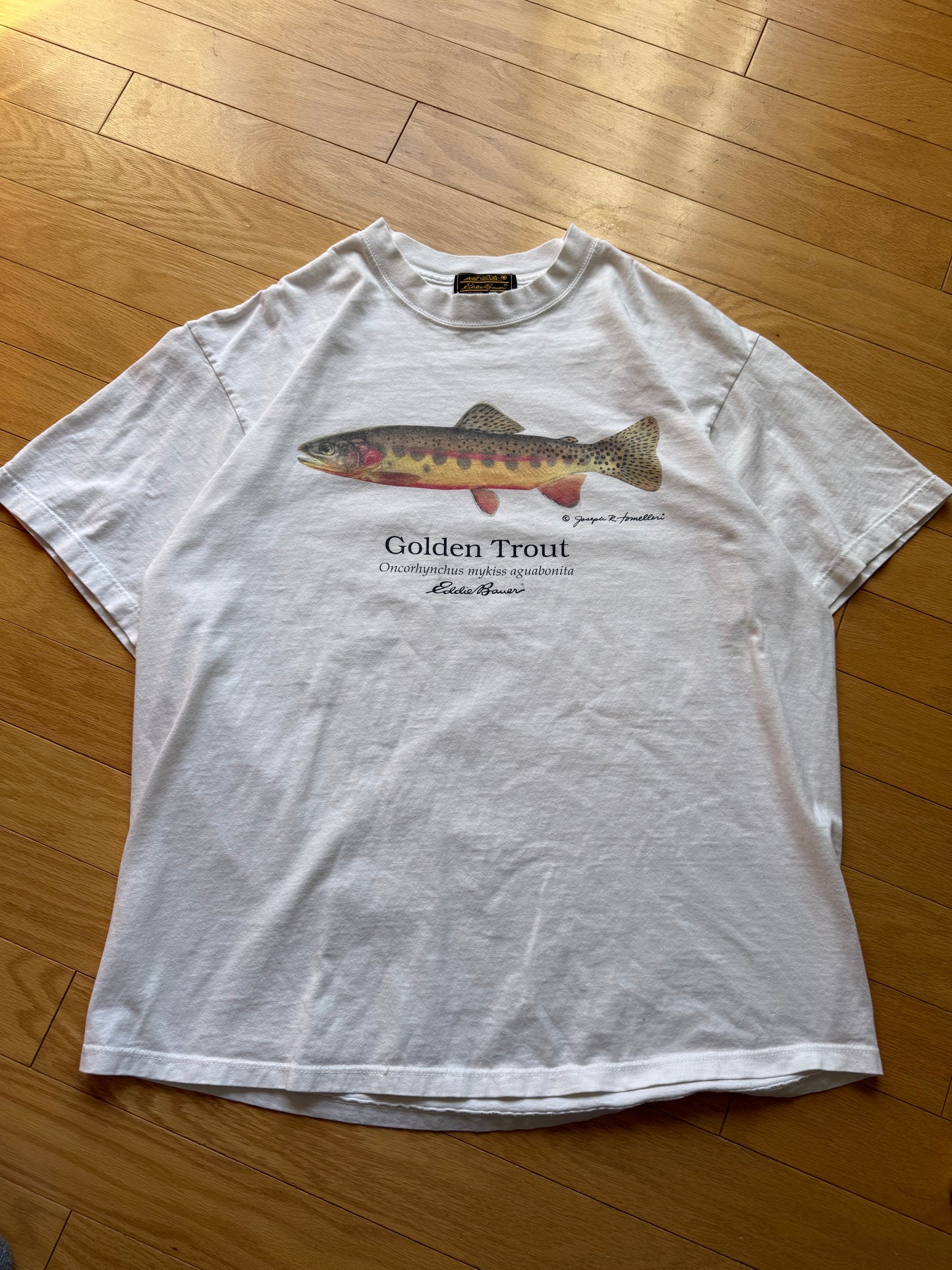 Vintage Eddie Bauer Joseph Tomelleri Golden Trout Tee