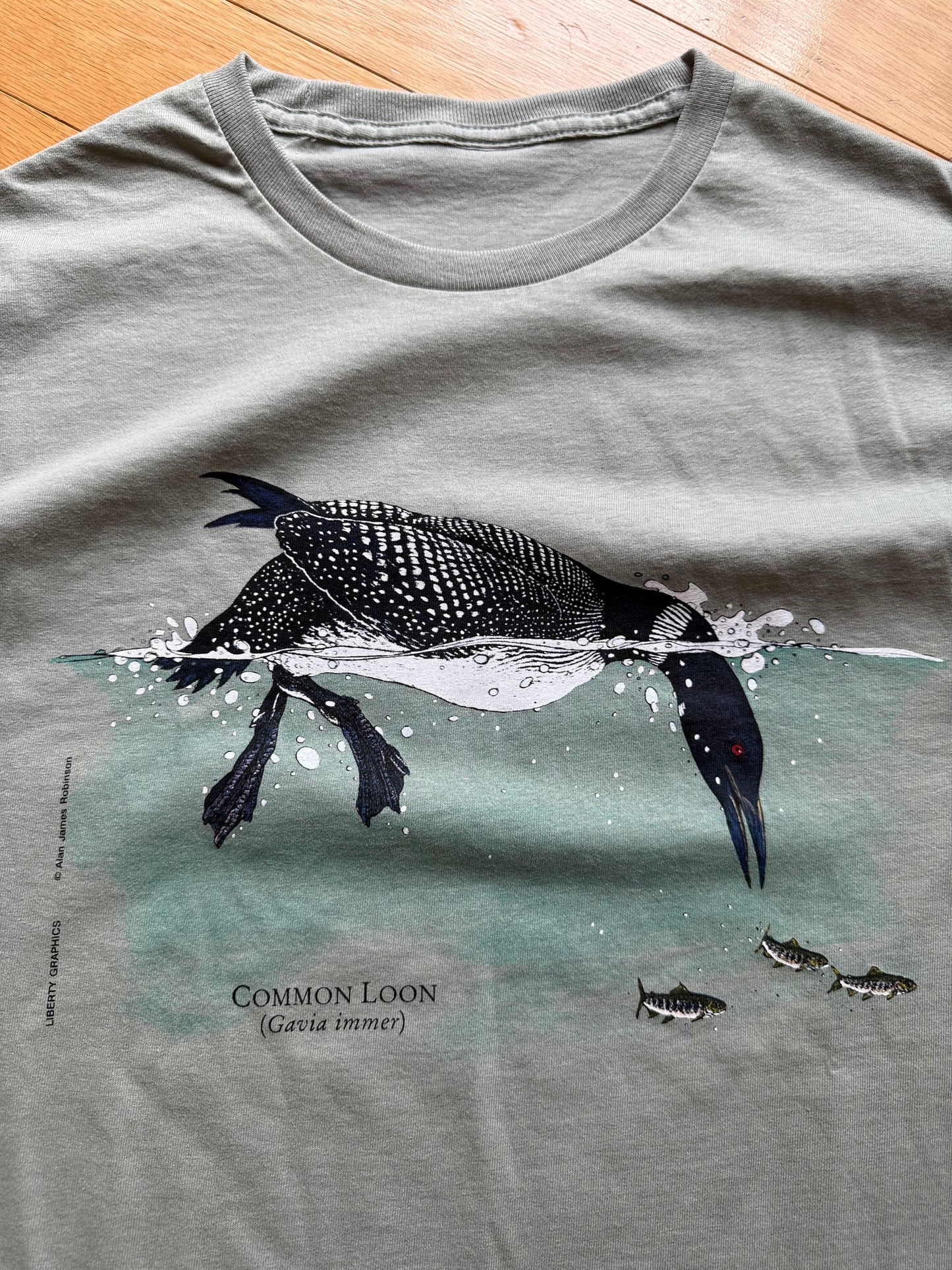 Vintage Alan James Robinson Loon Tee. Size S