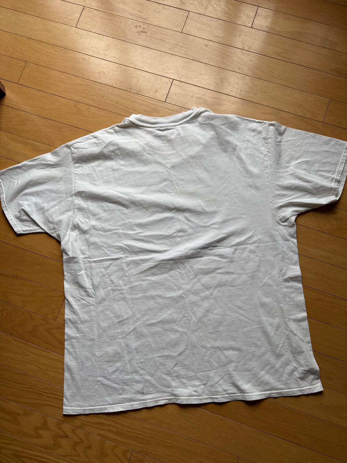 Vintage Alan James Robinson Bass Tee. Size XXL