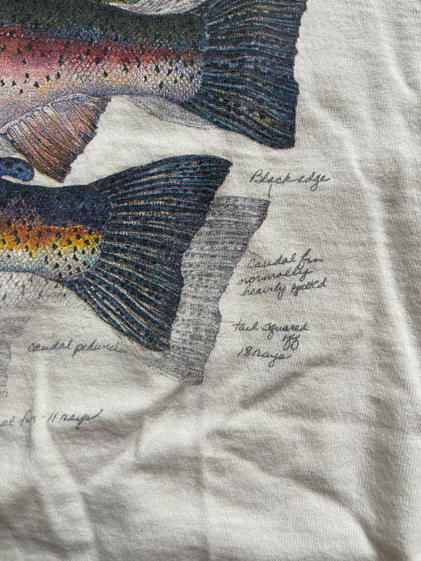 Vintage Trout Notes Tee