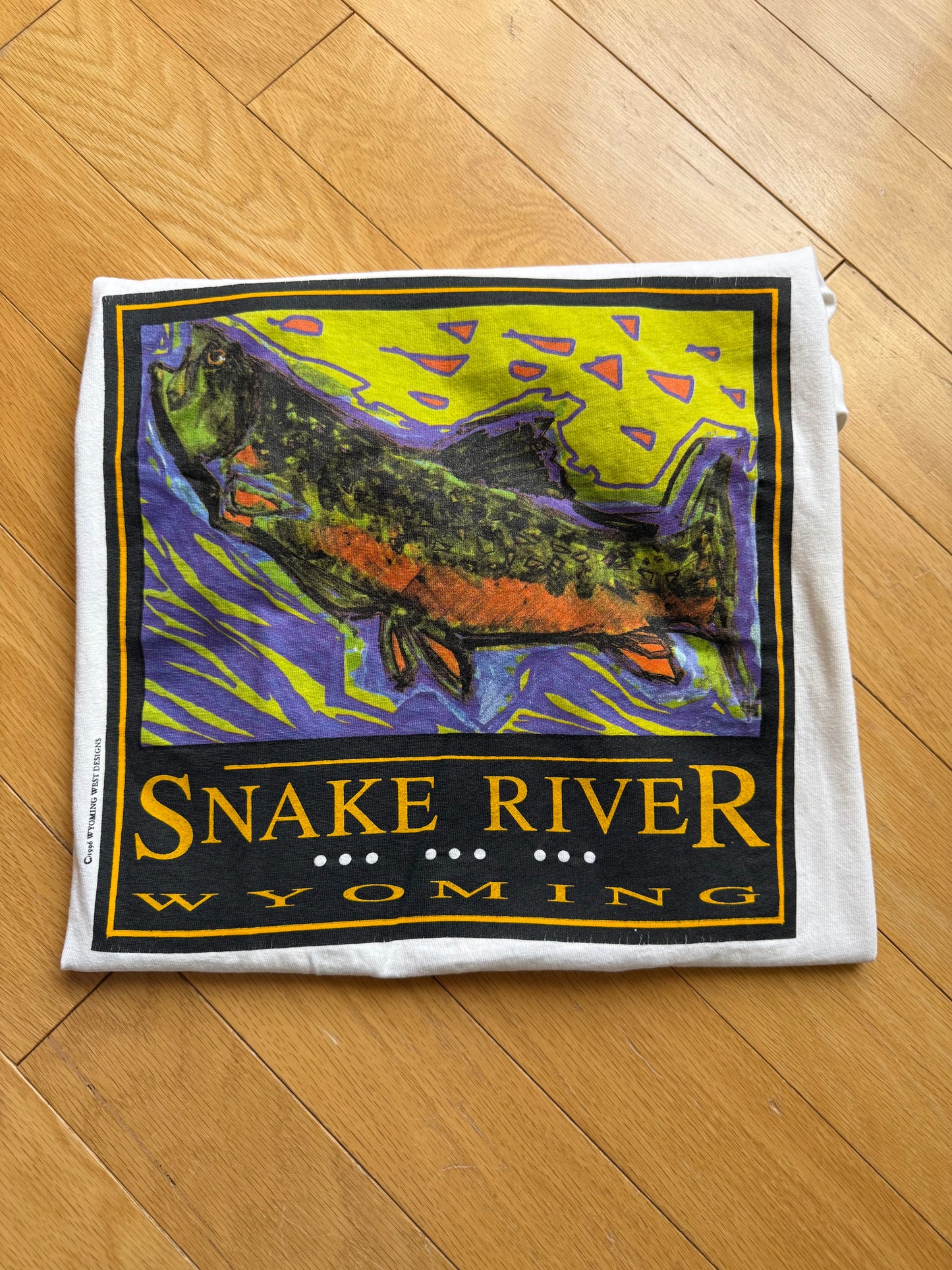 Vintage Snake River Wyoming Tee