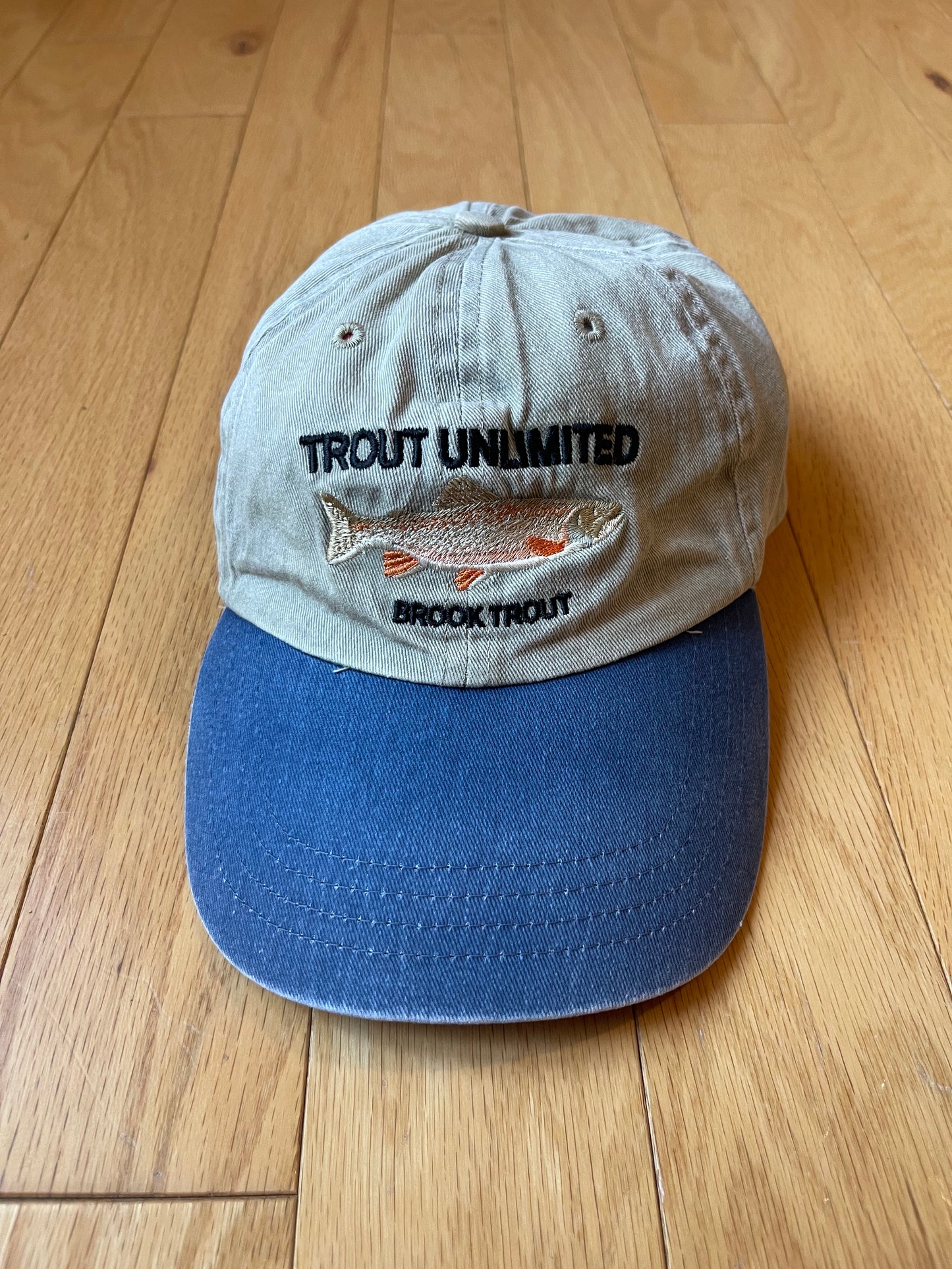 Vintage Trout Unlimited Brook Trout Hat