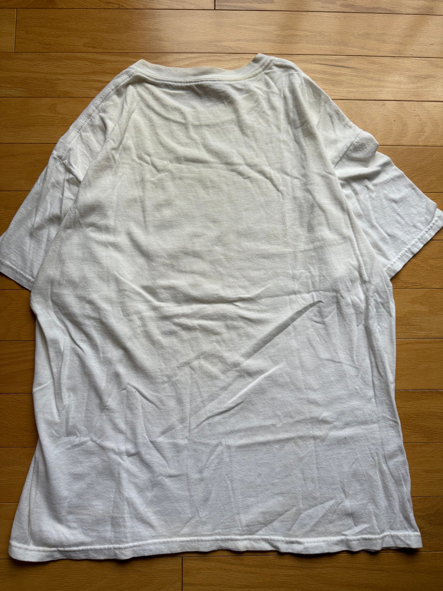Vintage Theory of Reelativity Tee