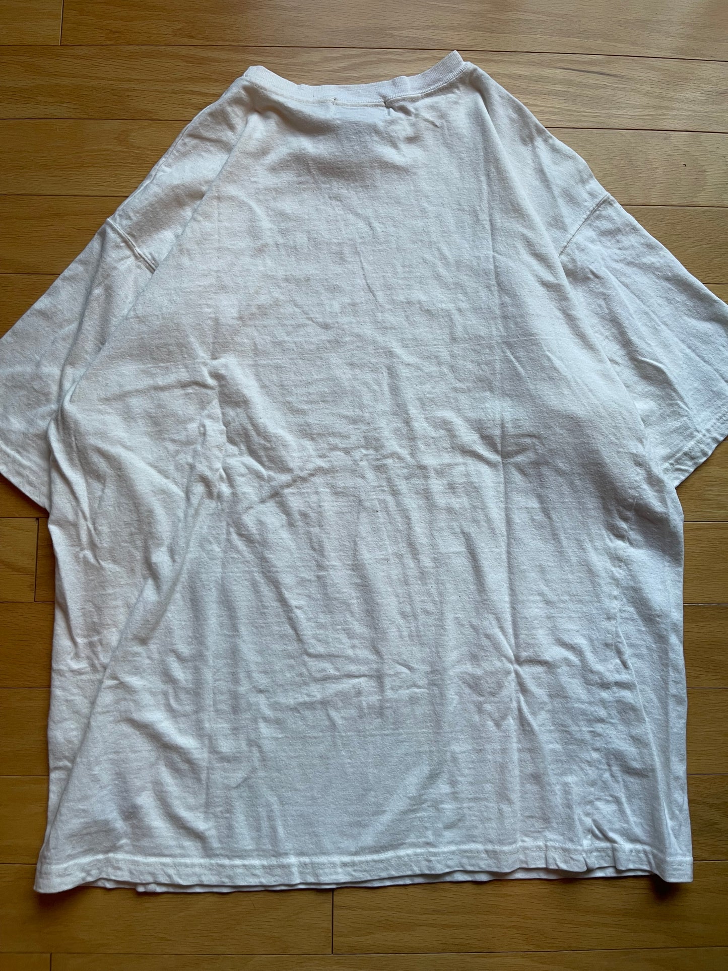Vintage Eddie Bauer Fly Tee