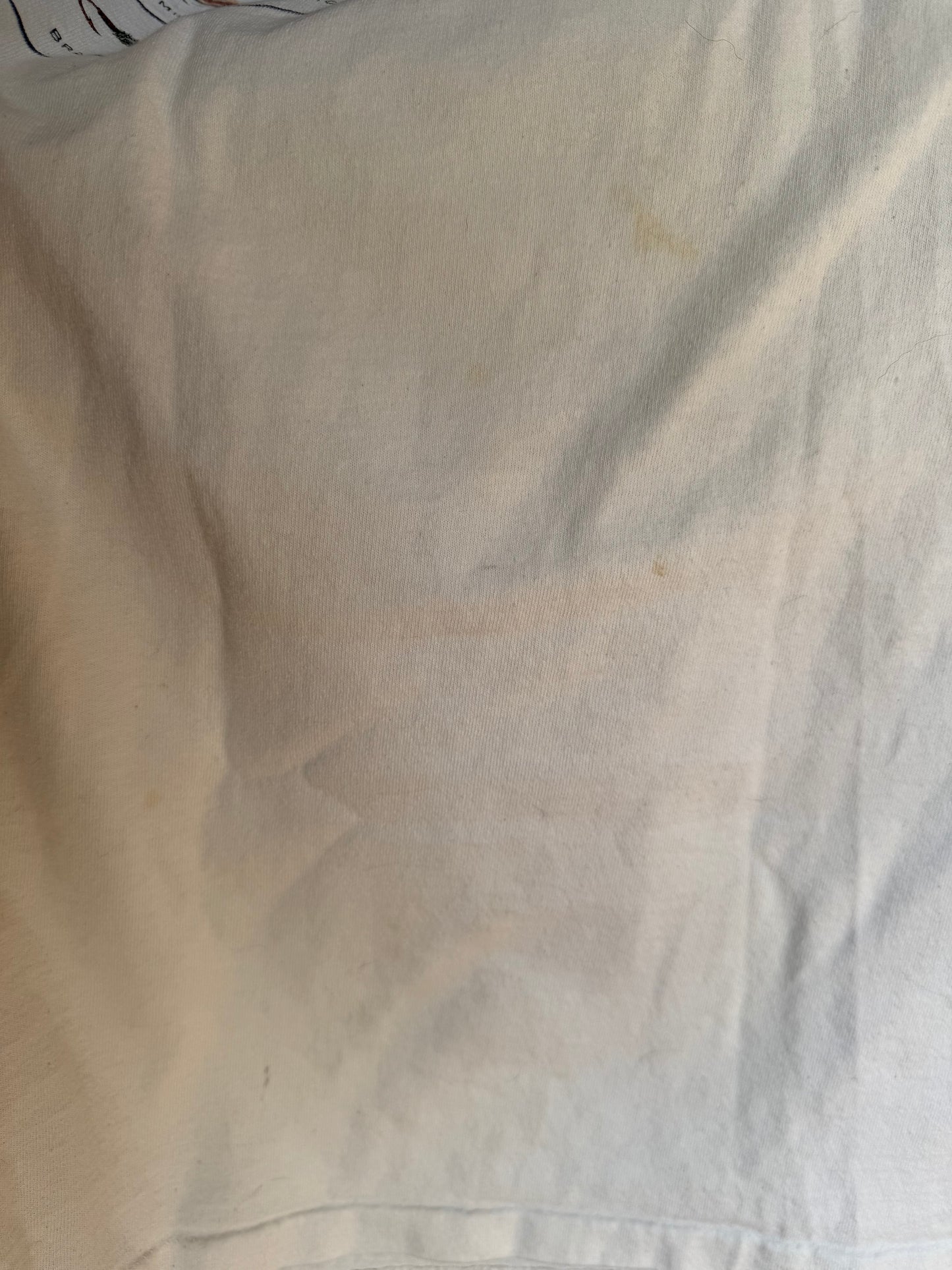 Vintage Harborside Graphics Classic Flies Tee