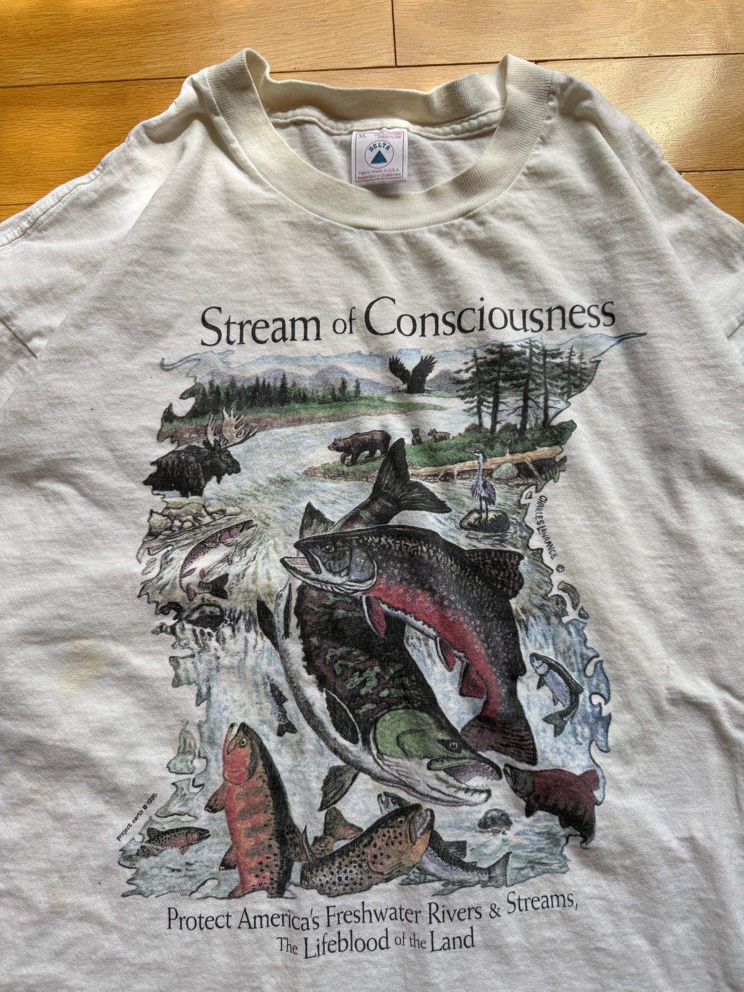 Vintage Stream of Consciousness Tee