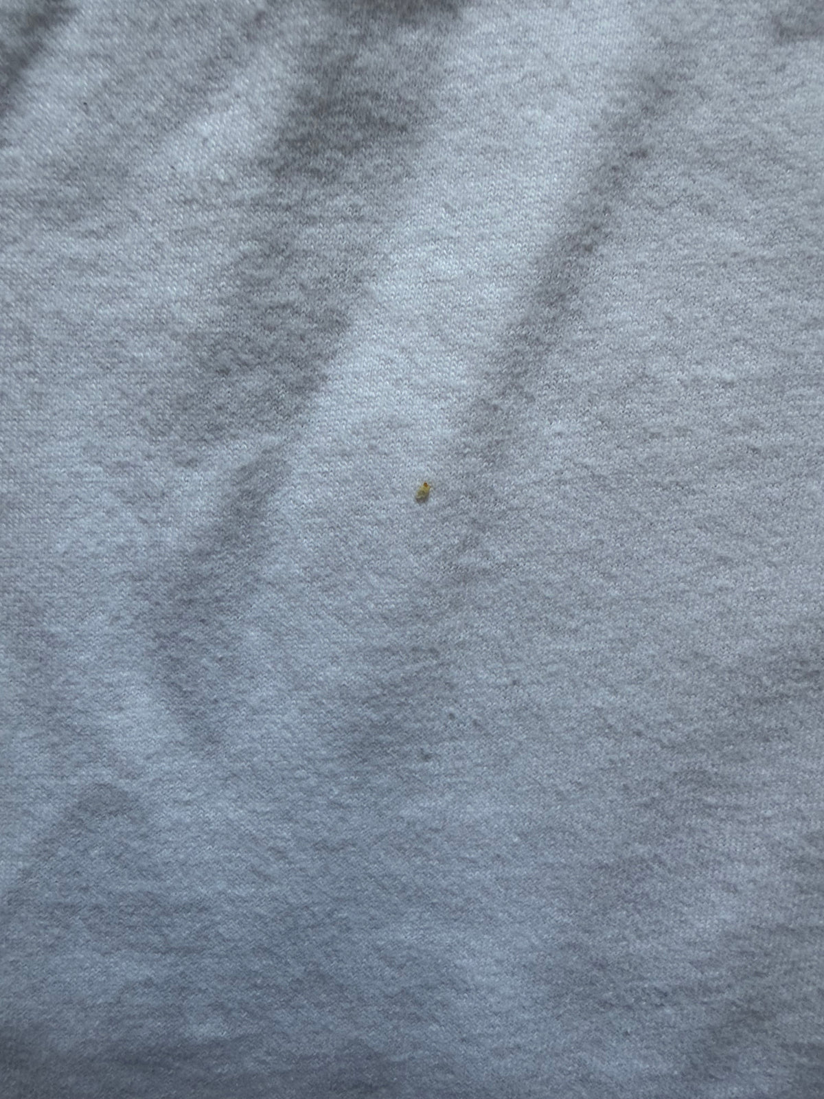 In-Fisherman Pike Pounder Tee
