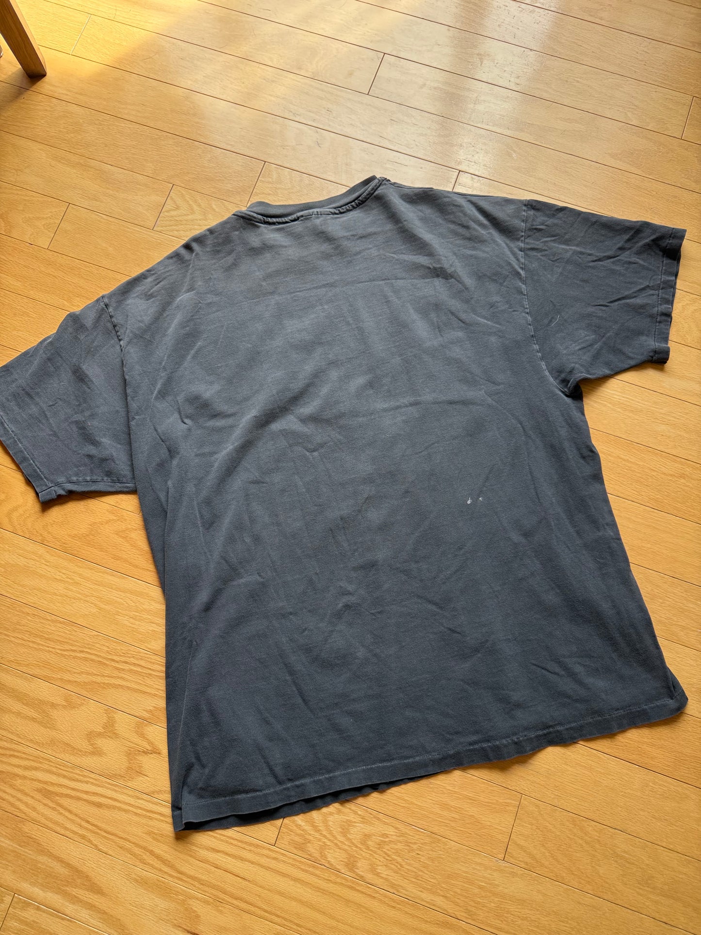 Vintage Ray Troll Twist and Trout Tee. Size XXL