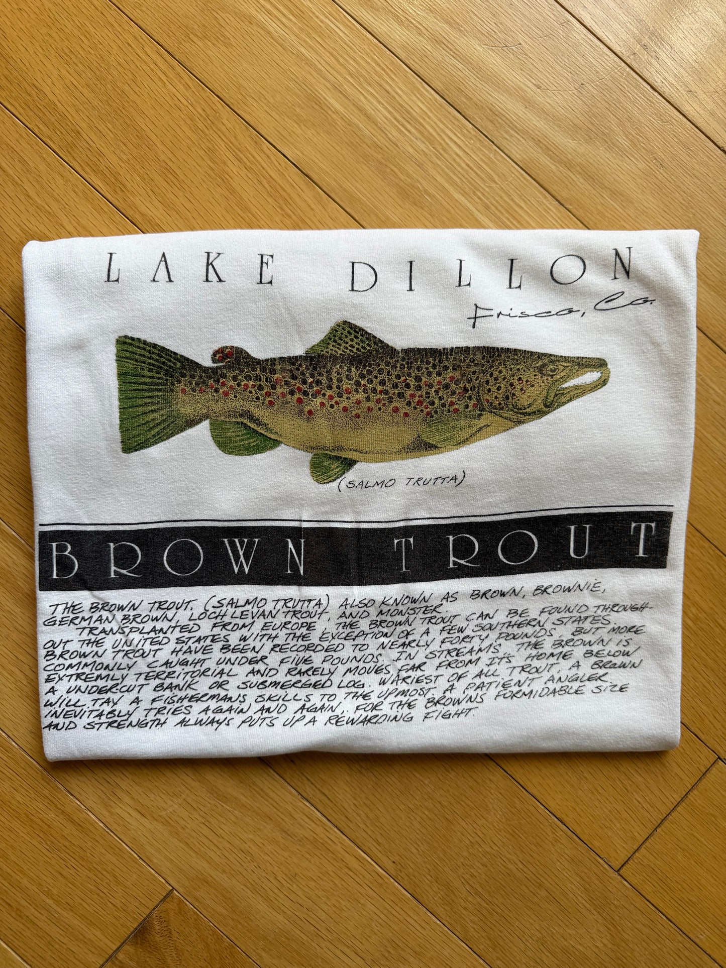 Vintage Lake Dillon Brown Trout Tee. Size S