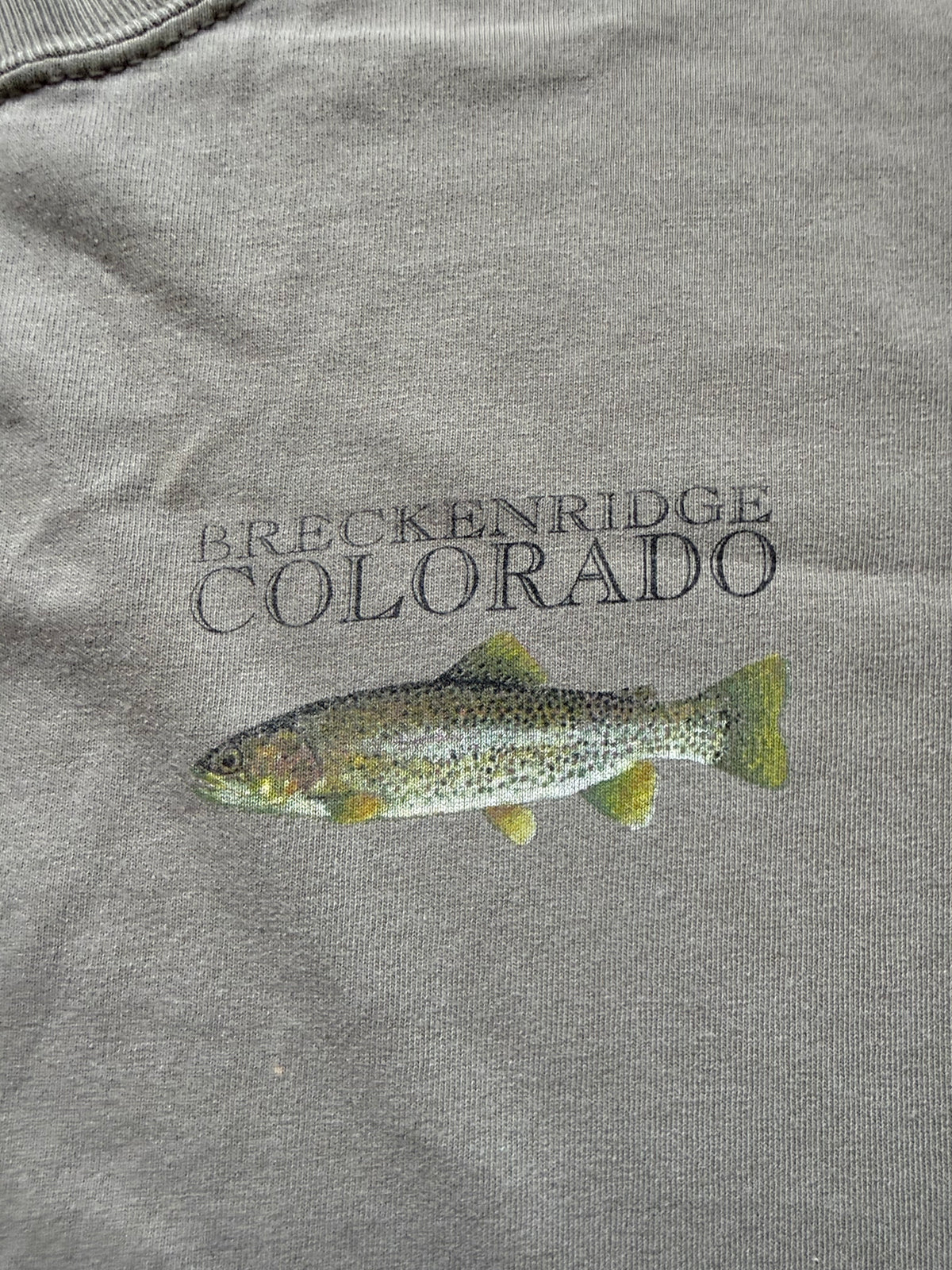 Breckenridge Fish Tale Story Tee