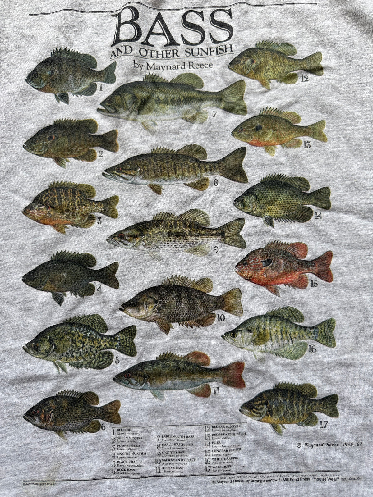 Vintage Bass And Other Sunfish Tee. Size XL