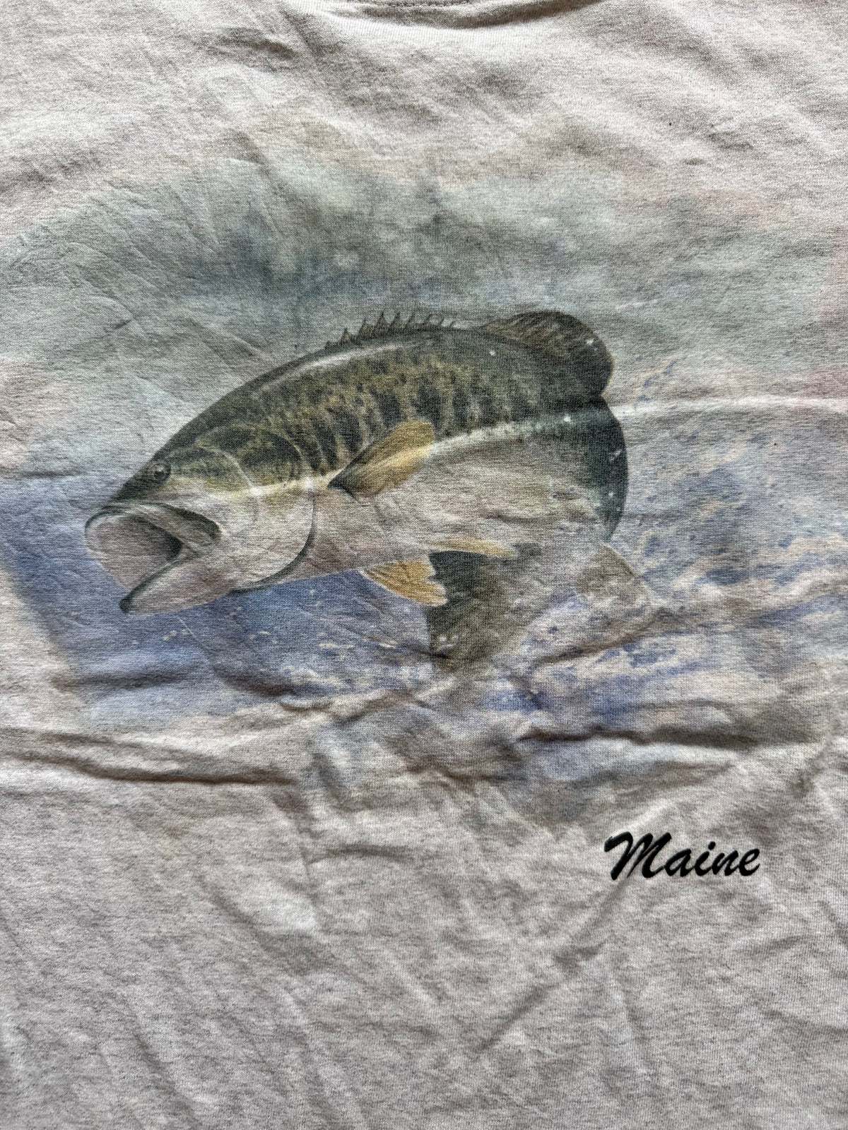 Maine Bass Tee