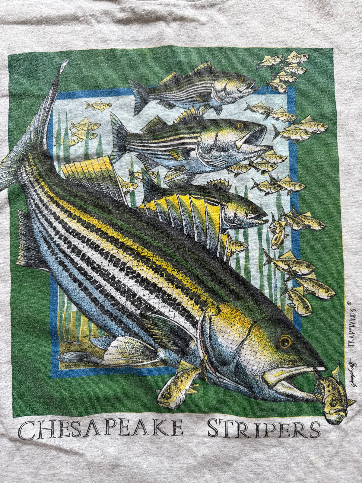 Vintage Chesapeake Stripers Tee. Size XL